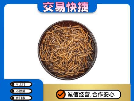 抚顺高价回收散虫草