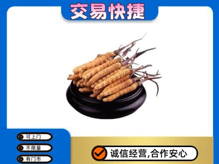 抚顺回收冬虫夏草多少钱每克